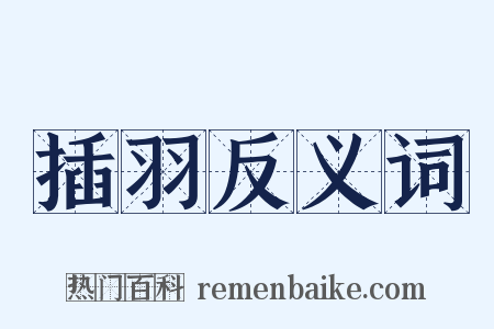 插羽反义词是什么意思的图片